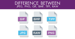 Difference Between Jpeg And Png That Everyone Should Know Png Jpeg Photo Editing