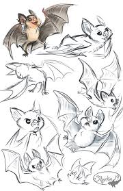 Bat Drawing Reference And Sketches For Artists New additions to the drawing wings tutorial collection foreword: bat drawing reference and sketches for