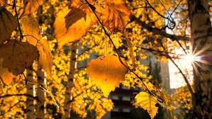 Recordul doborât, cel al mediei temperaturilor din iulie 2017 din death valley a fost de 41,9. Newspascani Com PaÈcani Targu Frumos IaÈi Prognoza Meteo Pe 2 SÄptÄmani Cum Va Fi Vremea In Moldova Pascani Iasi Targu Frumos