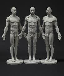 Discover his tips for drawing realistic anatomical figures! Anatomy Figures For Character Designers
