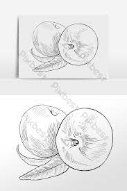 20 gambar sketsa kumpulan gambar sketsa bunga pemandangan kartun burung bukubiruku source: Lukisan Buah Epal Cikimm Com