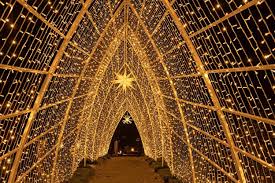 Der botanische garten in berlin. Christmas Garden Im Botanischen Garten Berlin Weihnachten In Berlin