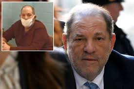 Harvey weinstein sentenced to 23 years in jailharvey weinstein sentenced to 23 years in jail. Harvey Weinstein Going Blind Losing Teeth Lawyer Says