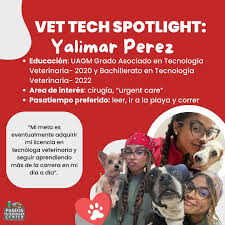 veterinaria servicios y paseos