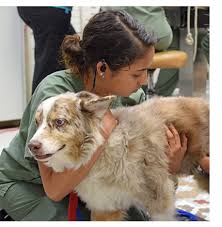 The pet care assistance program was established in 1990 to provide funds for three basic purposes: Tampa Veterinary Hospital 5 New Pet Exam South Tampa Vet