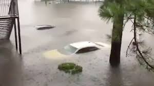 Detailed weather forecast in houston, texas today, tomorrow and 7 days. Is Houston The Nation S Flood Capital Videos From The Weather Channel Weather Com