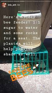 When you attract bees to the yard it not only helps the bees, it will also help your garden and flowers. My Diy Bee Feeder Repost From My Ig Gardening