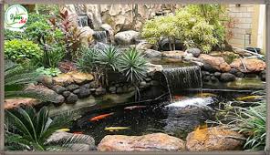 Anda bisa mendapatkan referensi lengkap untuk semua jenis ikan koi yang ada. Air Mancur Kolam Ikan Koi Infoakuakultur Com