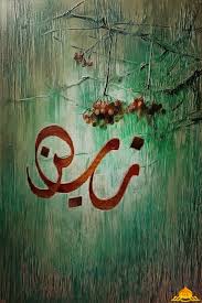 pin on زينب الحوراء ع