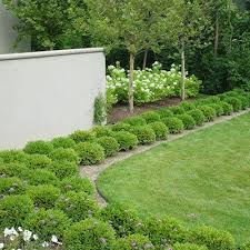 Design School Repeat That Please Grow Beautifully Landscaping Austin Landscape Design Garden Design