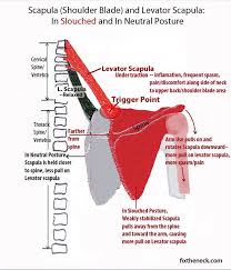 Pin On Soothing Yoga Poses