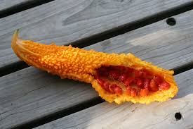 Hanna-papaの菜園日記 - ココログ