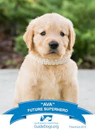 Alpha computer and web services sarasota fl. Sister Acts To Honor Legacy Through Team Ava Effort Sarasota Your Observer