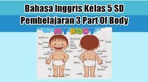 Pelajaran bahasa inggris kelas 5. Video Pembelajaran Bahasa Inggris Kelas 5 Sd Pembelajaran 3 Part Of Body Anggota Tubuh Youtube