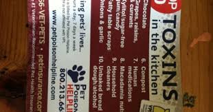 The Top Ten List Toxins In The Kitchen Pet Poison Pet Poison Prevention Pet Care