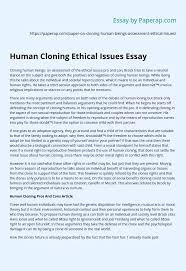Human Cloning Ethical Issues Essay Essay Example