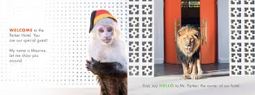 These photos have been a hit with parents decorating their children's rooms, and now they tell a story of adventure and. Be Our Guest By Gray Malin 9781419743085 Booktopia