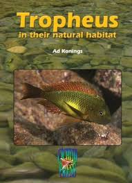 Tropheus in Their Natural Habitat (Tanganyika Cichlids) by Ad Konings