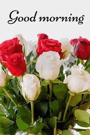 Maybe you would like to learn more about one of these? Good Morning Flowers Images Hd Good Morning Flowers Pictures Good Morning Beautiful Flowers Good Morning Flowers