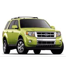 Image result for Green Orchid 2011 Escape