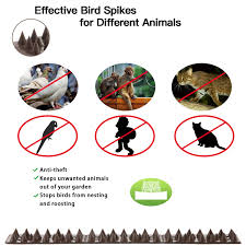 If the animal is small and fast, like a rat or squirrel, you need to mount a trap on the hole right after you cut it. Cat And Small Animals From Entering Your Yard Security For Fence Walls And Roof Bird Repellent Anti Climb Security Spikes To Prevent Birds Railing Brown Weyty Defender Birds Spikes Home Garden Store
