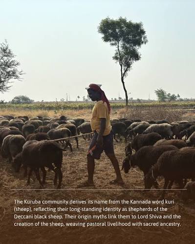 The Kurubas derive their name from kuri (sheep) and have a long-standing identity as shepherds of the Deccani black sheep, with origin myths linking them to Lord Shiva. Their faith centres on