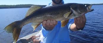 The main lodge is located on lake. Manitoba Top 10 Fly In Fishing Trips