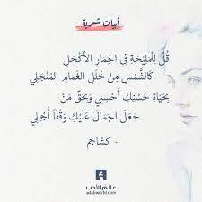 أشجع الناس في نظر الشعبي قول الأعشى عالم الأدب Quotes For Book Lovers Words Quotes Sweet Quotes