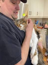 Border Terrier Jiff's 14th Birthday Celebration