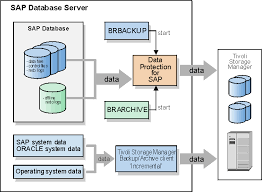Planning A Backup Strategy Itself Would Mean That You Have Finished 50 Of Configuration Correct Planning Will Give You Hig How To Plan Oracle Database Backup