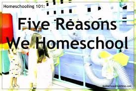 5 Reasons We Homeschool Just Imagine Someone Coming To Your House Knocking On Your Door And Asking For Homeschool Homeschool Inspiration Teaching Homeschool