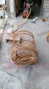 Cara buat wadah pakan burung dari pipa paralon. Raden Sangkar Teknik Pembelahan Bambu Untuk Pembuatan Sangkar Burung Bundar Facebook