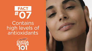 Amazon.com: Convenience Kits International Women's 15 Pc Kit Featuring:  Palmer's Hair, Face & Body Travel-size Products : Beauty & Personal Care