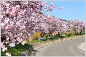 Barbekü sunan haus mandelblute, gimmeldingen'de yer almaktadır. Bilder Und Fotos Zu Gimmeldingen Mandelblute In Neustadt An Der Weinstrasse Gimmeldingen