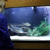 The weights mentioned are for glass aquariums; 1