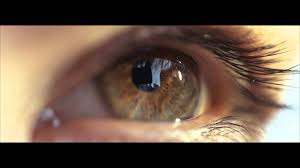 Download eyes close up images and photos. The Human Eye Closeup Macro Slow Motion Youtube