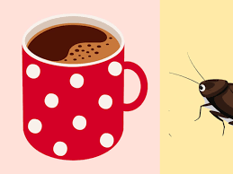 Check spelling or type a new query. Roaches In Your Kitchen Check The Coffee Maker Kitchn