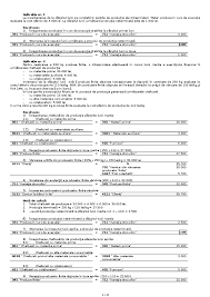 Plătești un referat și primești 2 (al doilea gratis). Pdf 119634490 Probleme De Contabilitate Financiara Rezolvate Romaniuc MÄdÄlina Academia Edu