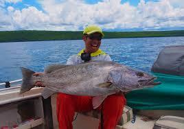 Image result for Tetradenia tanganyikae