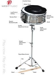 Snare Drum Diagram Snare Drum Percussion Drums