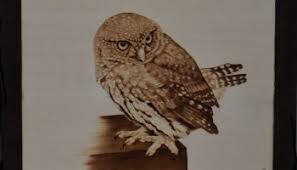 The heated pen will put some burn marks on the wood, and there you go! The Barn Owl Pyrography Wood Burning Pyrography Made Easy