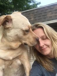 Grundy County zoning board gives OK to pet rescue operation