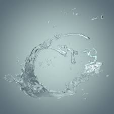 3d Water Splash Water Splash Sea Life