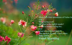 Good Morning Images Ultra Hd 1 Good Morning Images Morning Images Good Morning Images Download