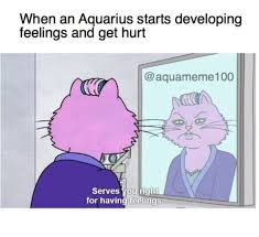 Zodiac Signs Aquarius Aquarius Sign Aquarius And Libra