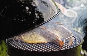Smokey Mountain Cooker Rauchern Grillen Grills