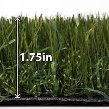 Trugrass emerald gold 12 ft x 75 ft artificial grass. Tundra 15 Ft X Your Choice Length Fresh Cut Artificial Turf Prt042054 15lf 205038439