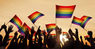Pride month is an entire month dedicated to the uplifting of lgbtq voices, celebration of lgbtq culture and the support of lgbtq rights. Lgbtq Pride Month And Education Resources