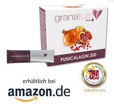 Granatapfel Antioxidative Eigenschaften Des Punicalagins