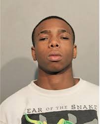 ᐅ Illinois Criminal Records 2009-2025